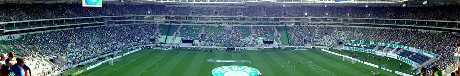 Kit Palmeiras