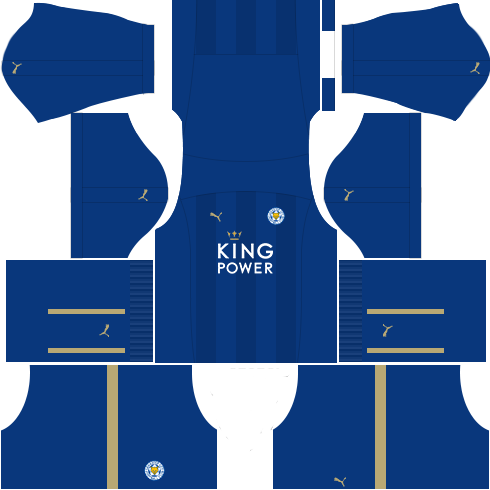 kit leicester dls17 uniforme casa