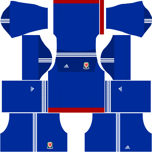 kit-pais-de-gales-cymru-wales-dls16-goleiro-fora-de-casa