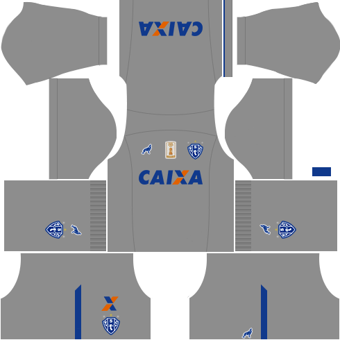 kit paysandu dls17 uniforme goleiro casa