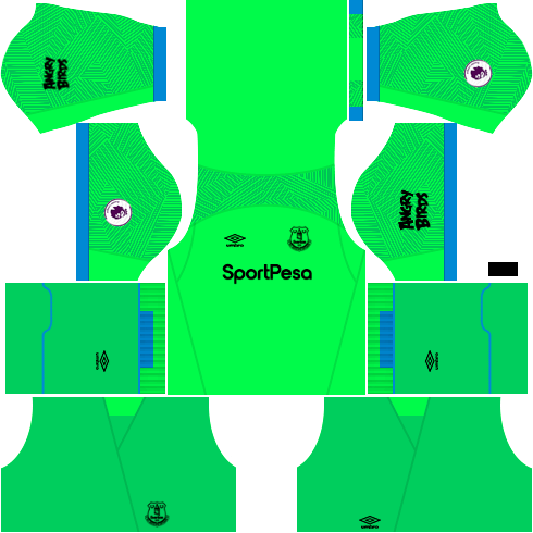 Kit-everton-dls-home-Gk-uniforme-casa-18-19