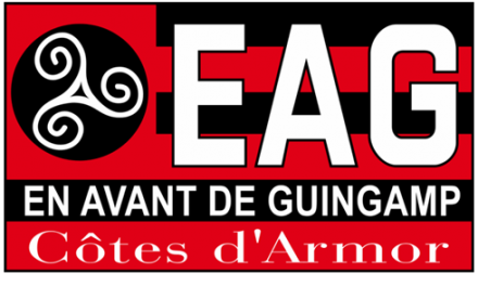 Kit Guingamp 2019 DREAM LEAGUE SOCCER 2024 kits URL 512×512 DLS 2020