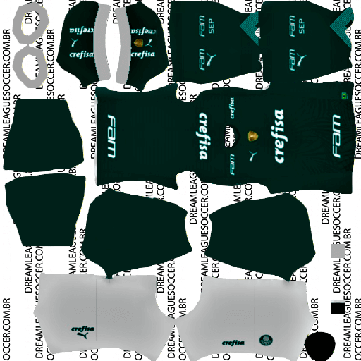 kit DLS 2024 palmeiras uniforme casa22