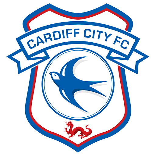 Kit-cardiff-city